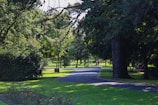 A peaceful corner of the park with walking paths.