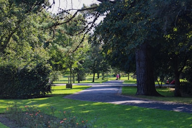 A peaceful corner of the park with walking paths.