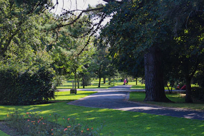 A peaceful outdoor scene with a caregiver and participant enjoying a sunny park walk in Sydney.