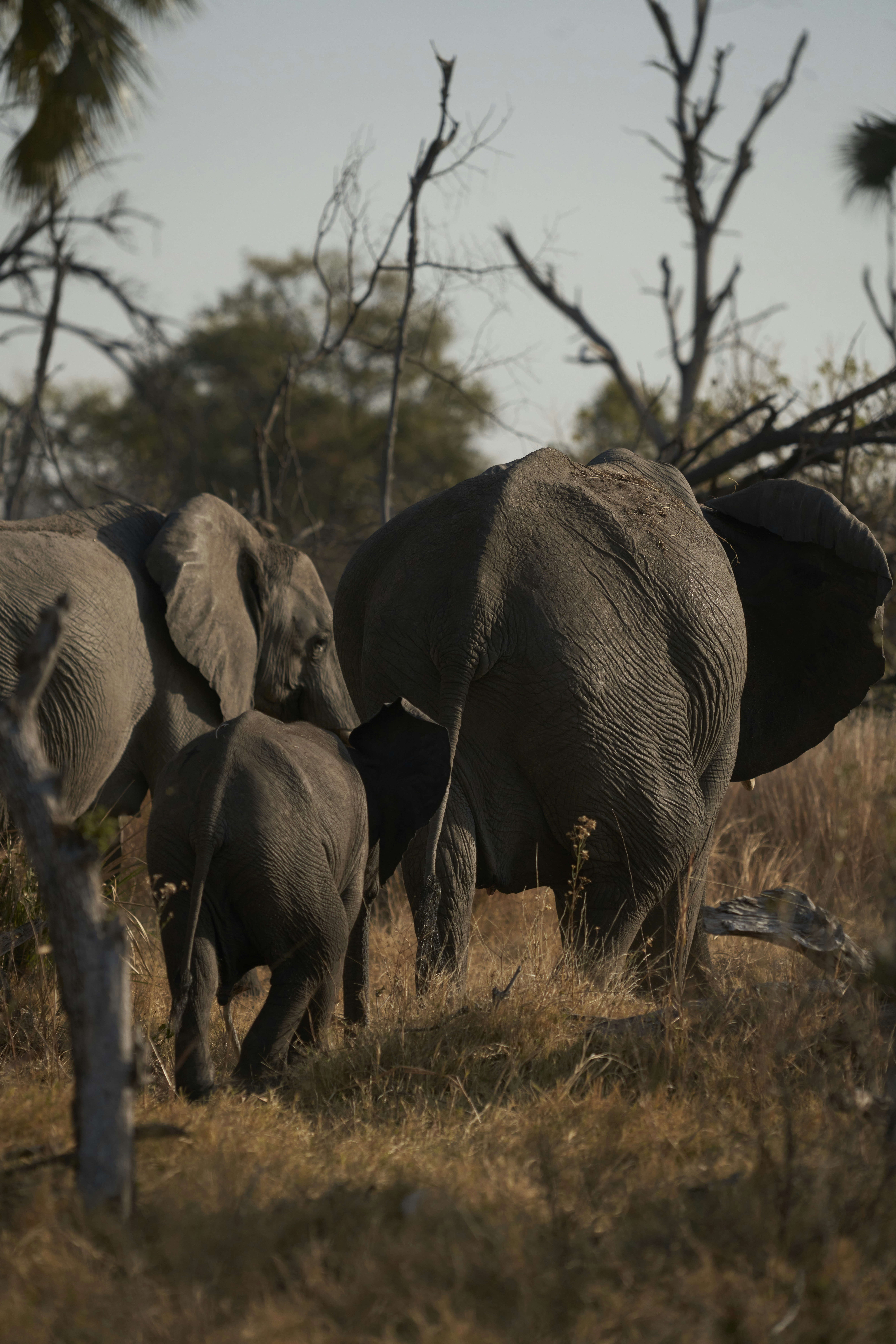 Photo by benjaletzke