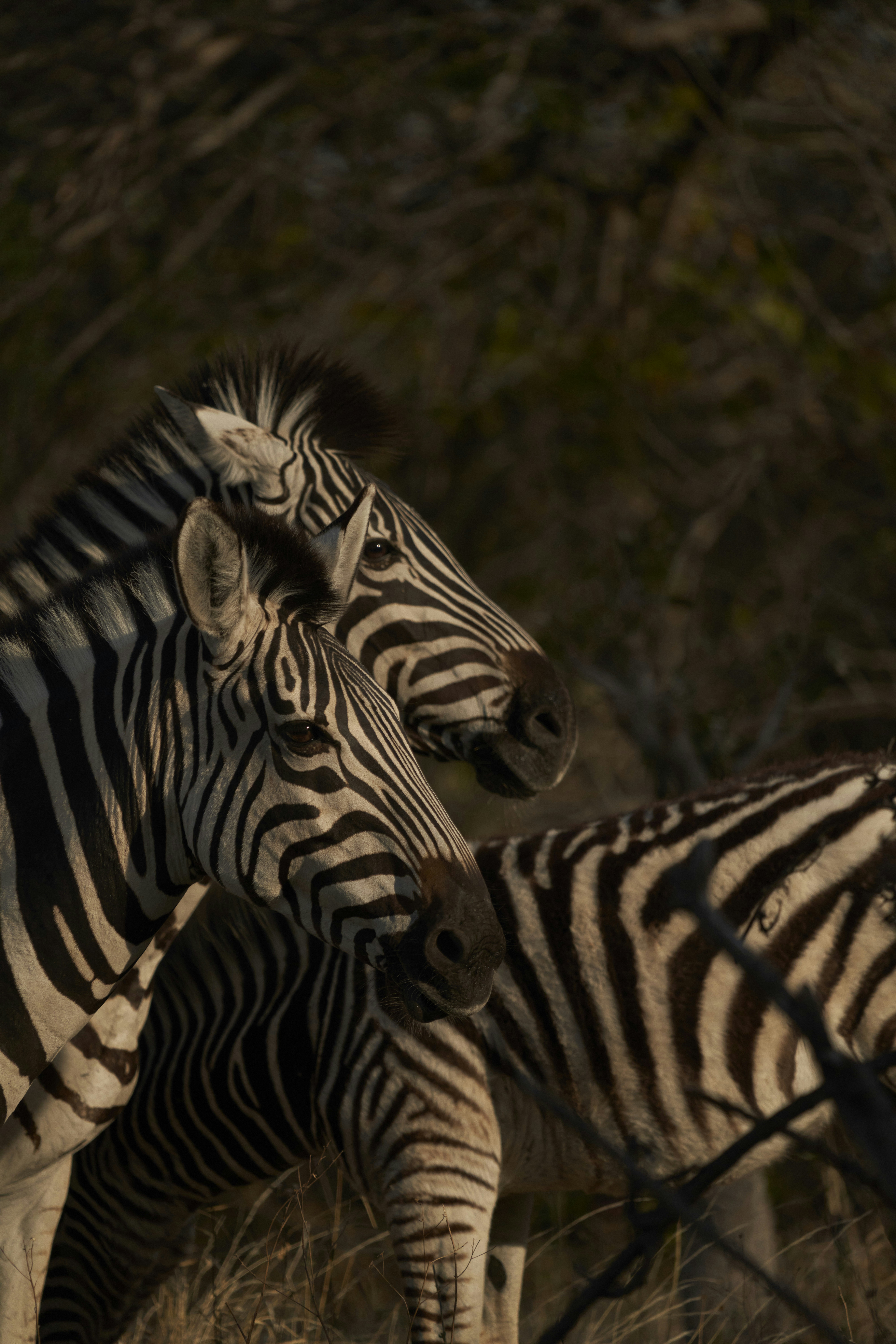 Photo by benjaletzke