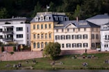 A picturesque scene featuring a historic European building labeled 'Heidelberg College' along with adjacent structures. The buildings exhibit classic architecture with colorful window shutters and ornate details. Below the buildings is a green grassy riverbank where several people are sitting, walking, and enjoying the scene. The background includes lush green trees, adding a natural element to the urban landscape.