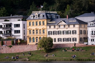 A picturesque scene featuring a historic European building labeled 'Heidelberg College' along with adjacent structures. The buildings exhibit classic architecture with colorful window shutters and ornate details. Below the buildings is a green grassy riverbank where several people are sitting, walking, and enjoying the scene. The background includes lush green trees, adding a natural element to the urban landscape.