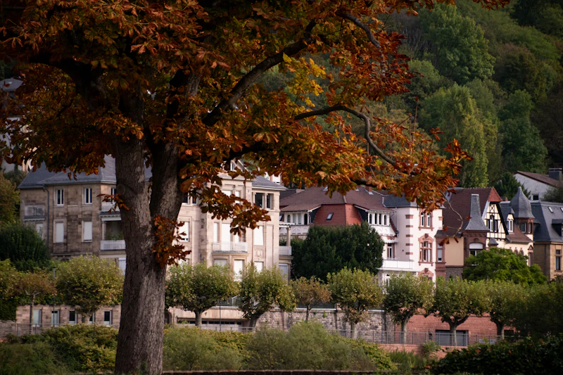 Best Free Things to Do in Heidelberg That Cost Absolutely Nothing