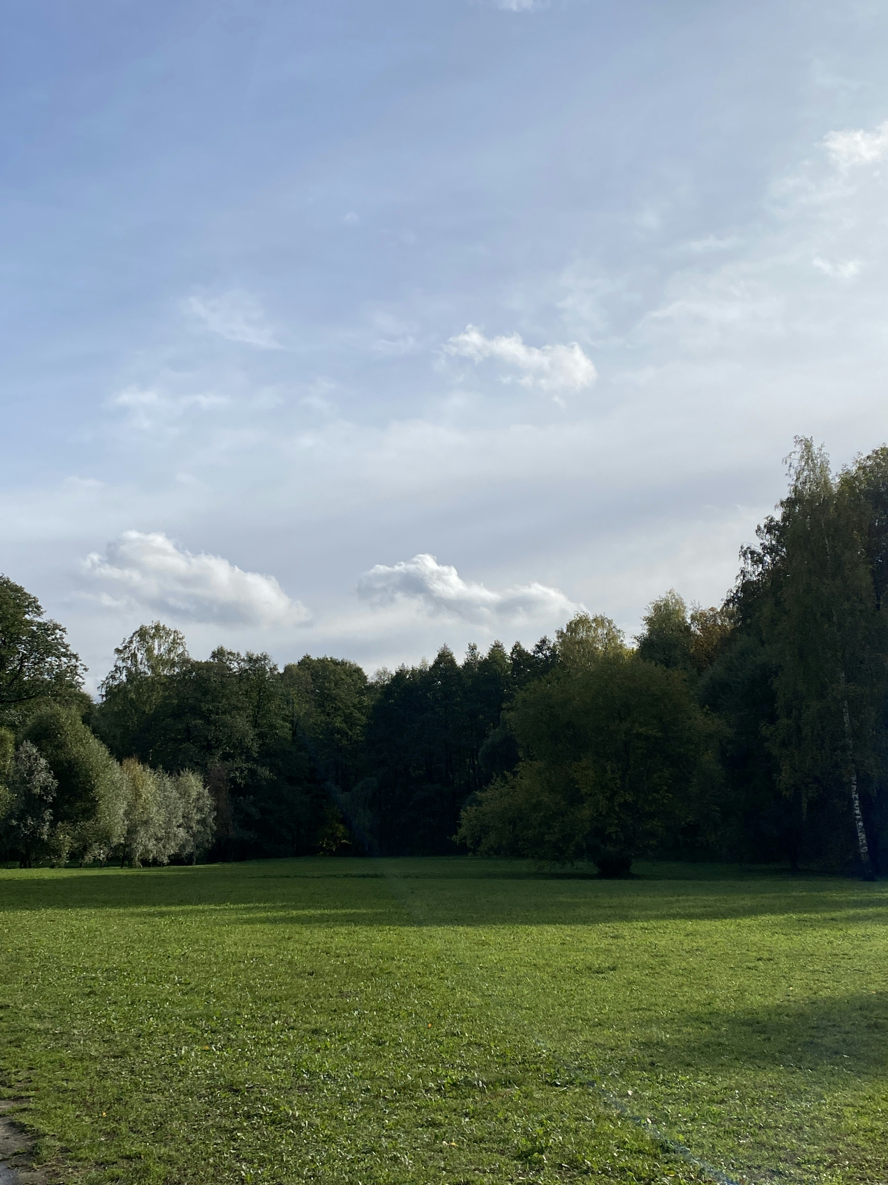 a grassy field with trees in the background