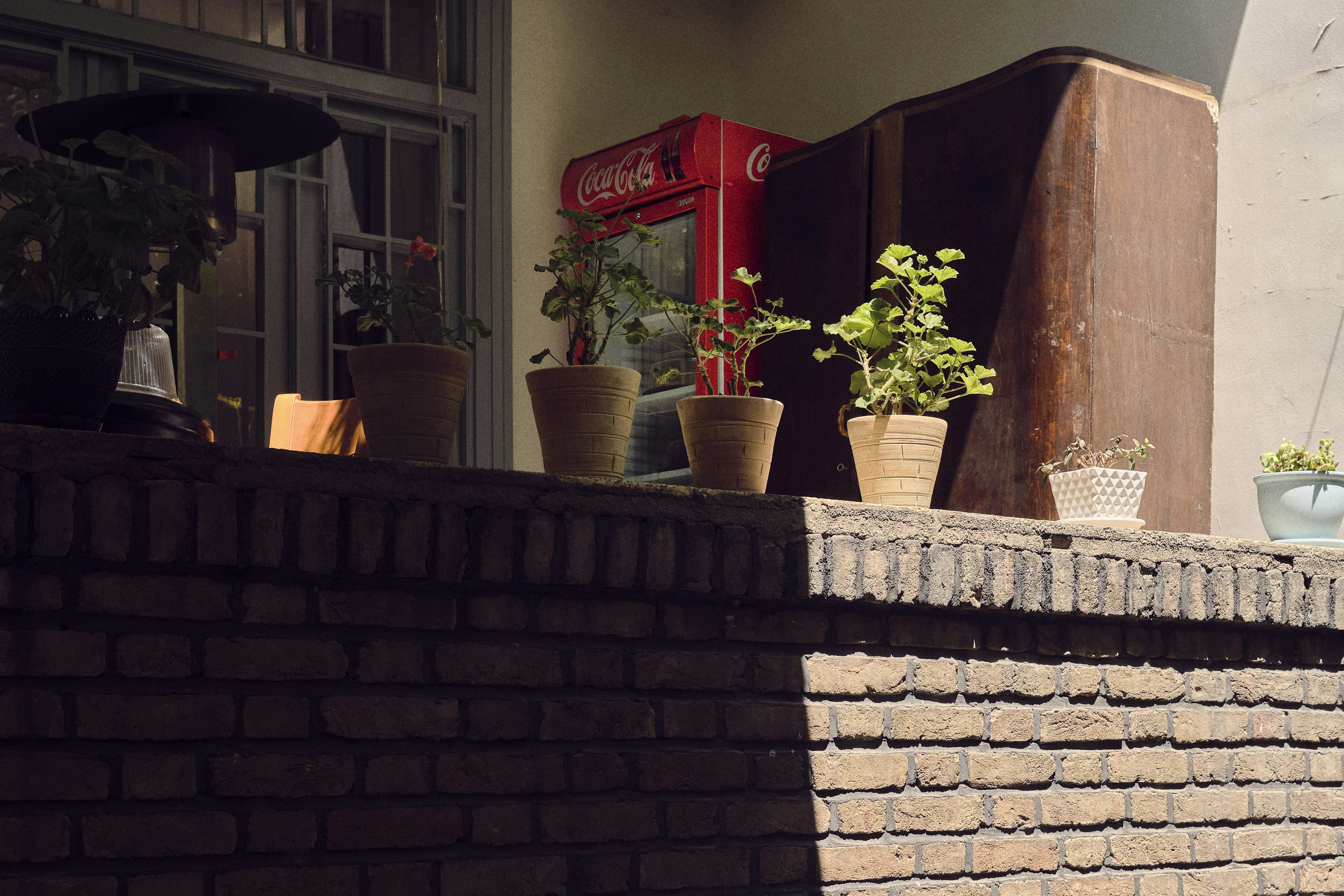 Photo by alirezabanijani