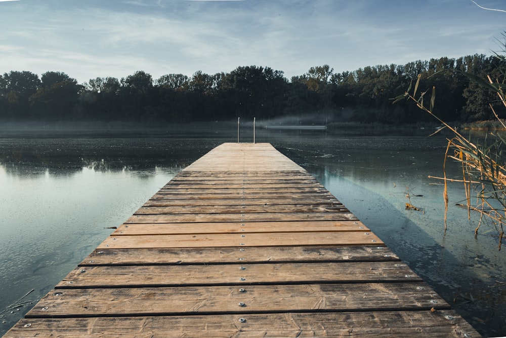 a wooden dock sitting on top of a lake next to a forest