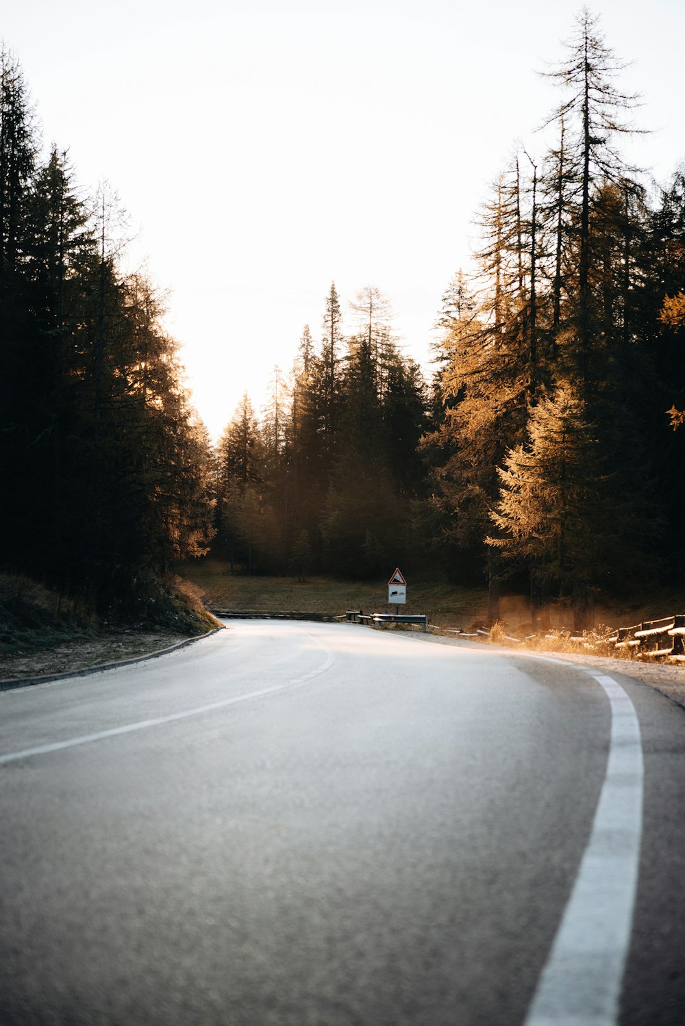 a person sitting on a bench on the side of a road