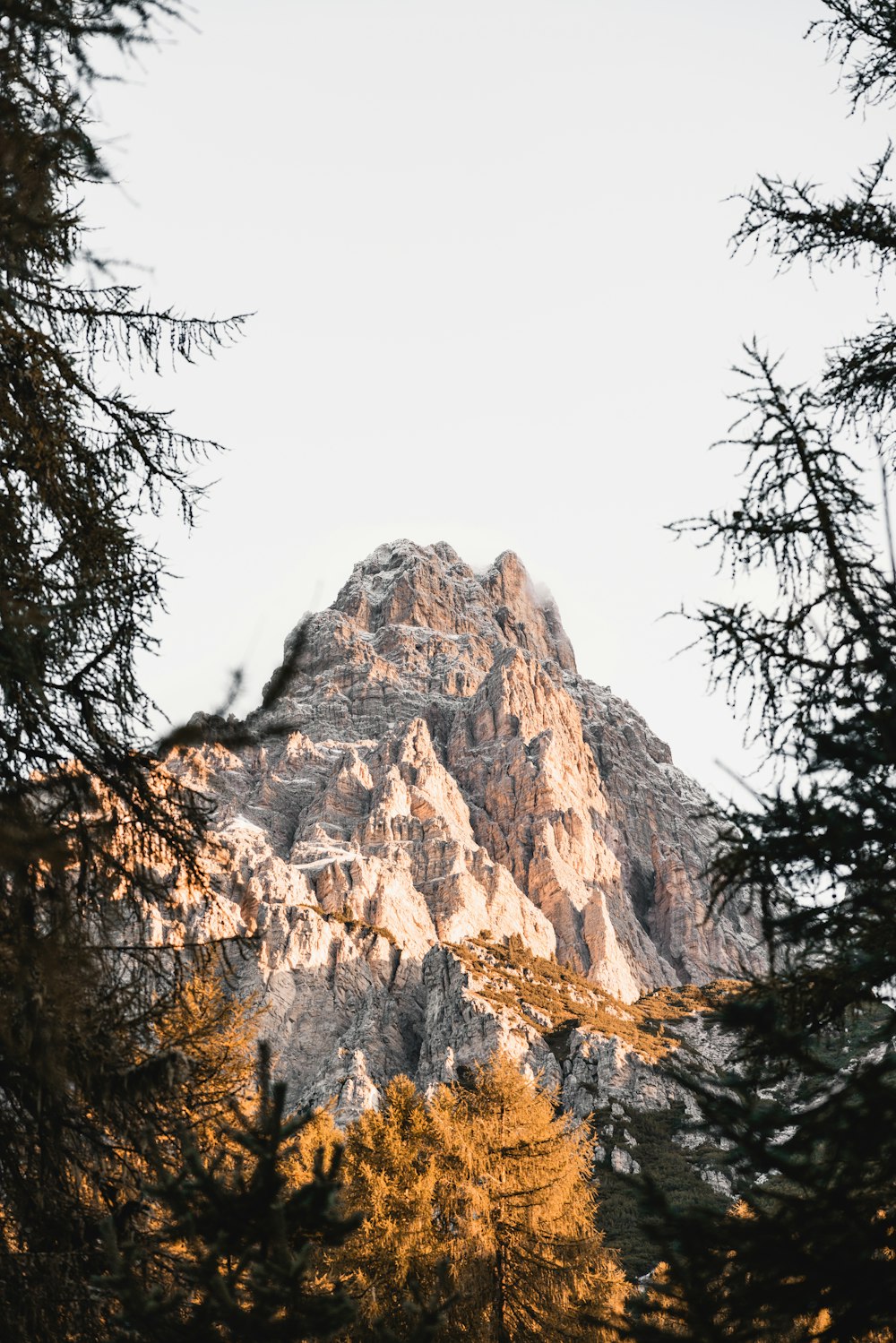 a view of a mountain through some trees