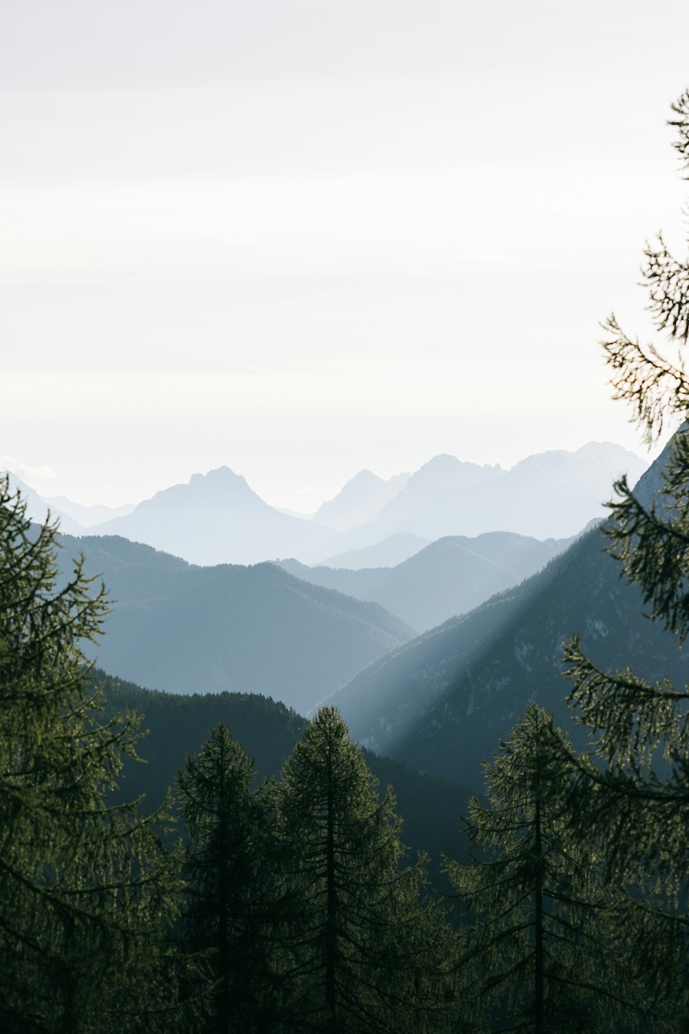 a view of a mountain range with trees in the foreground