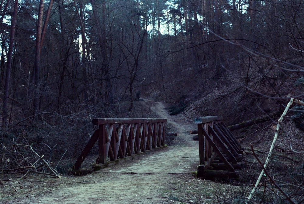 a wooden bridge in the middle of a forest