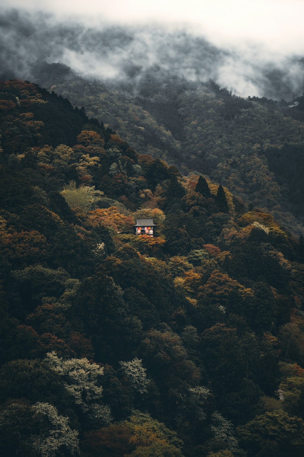 a house on a hill surrounded by trees