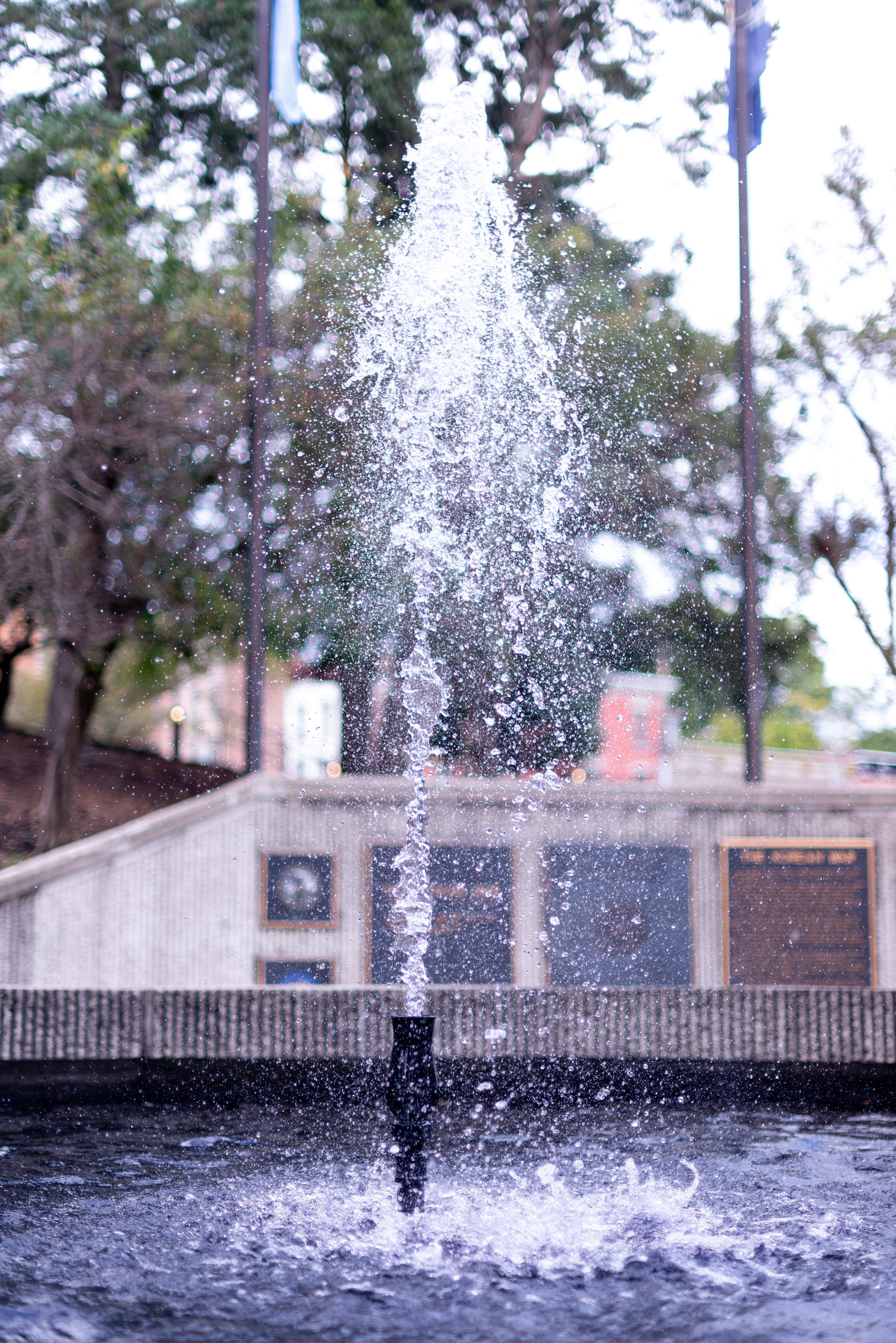 una persona de pie en el agua con una boca de incendios en el fondo