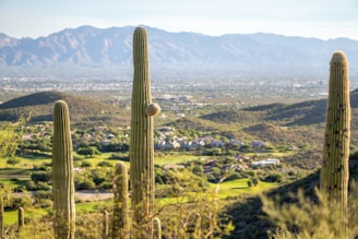 a view of a valley with mountains in the background