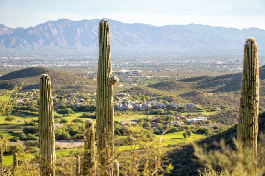 a view of a valley with mountains in the background