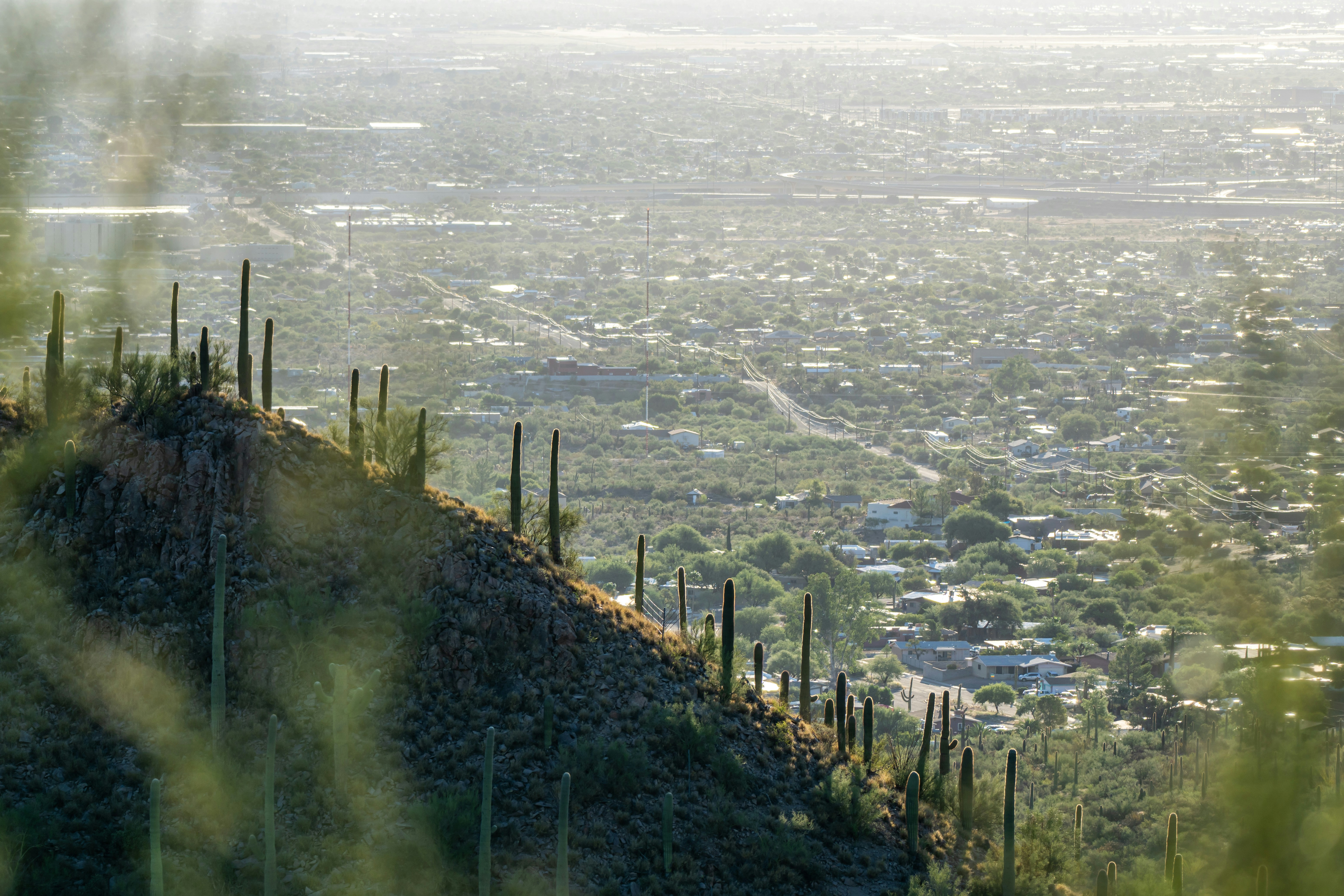 a view of a city from a hill
