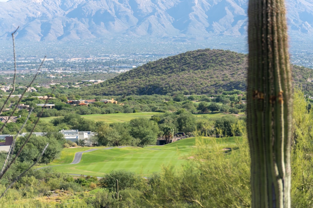 a view of a golf course with mountains in the background