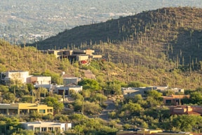 A collection of modern houses situated on a hilly terrain covered with saguaro cacti and sparse vegetation. The background shows an expanse of a cityscape under a hazy sky.