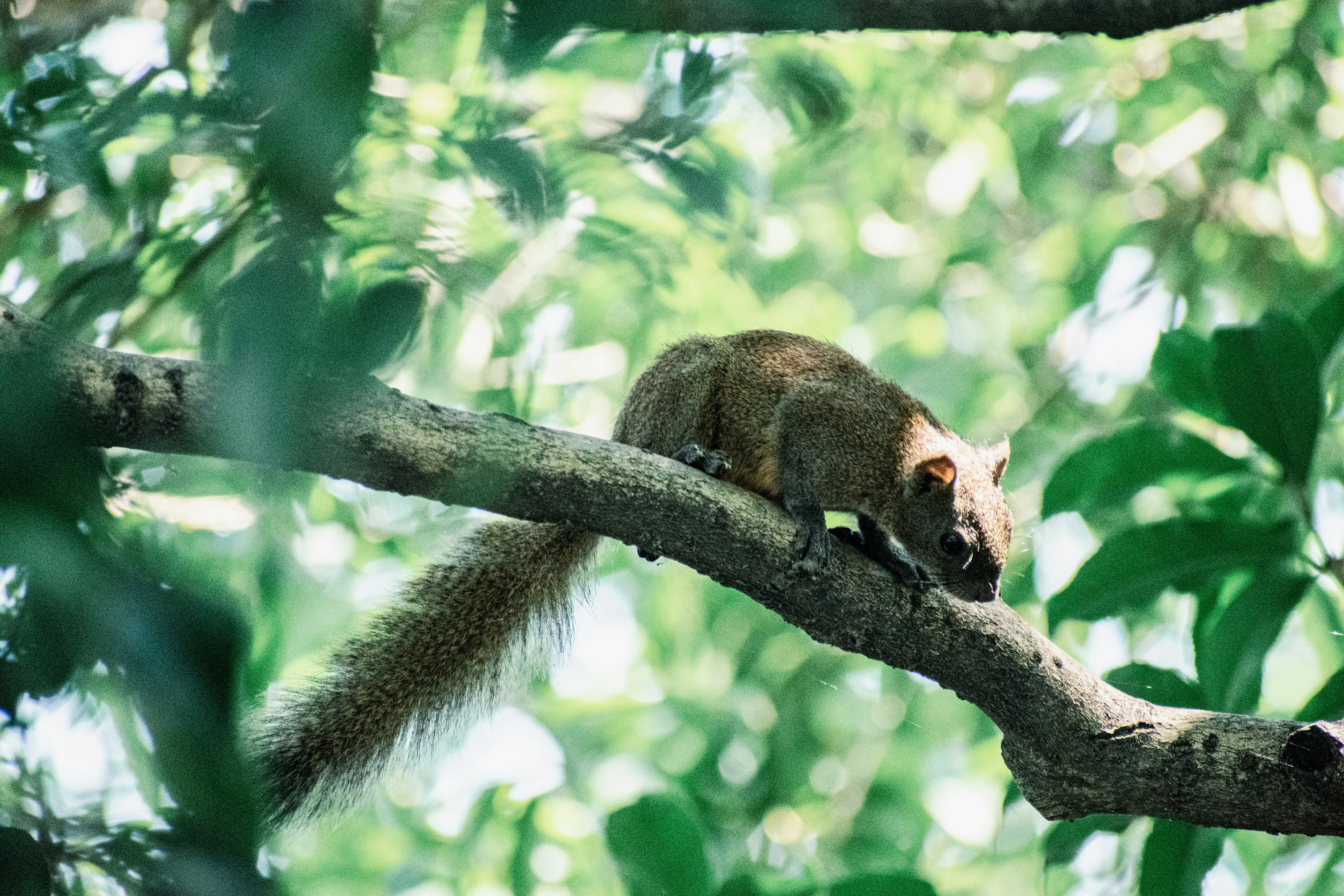 Photo by wan_linqiuyi