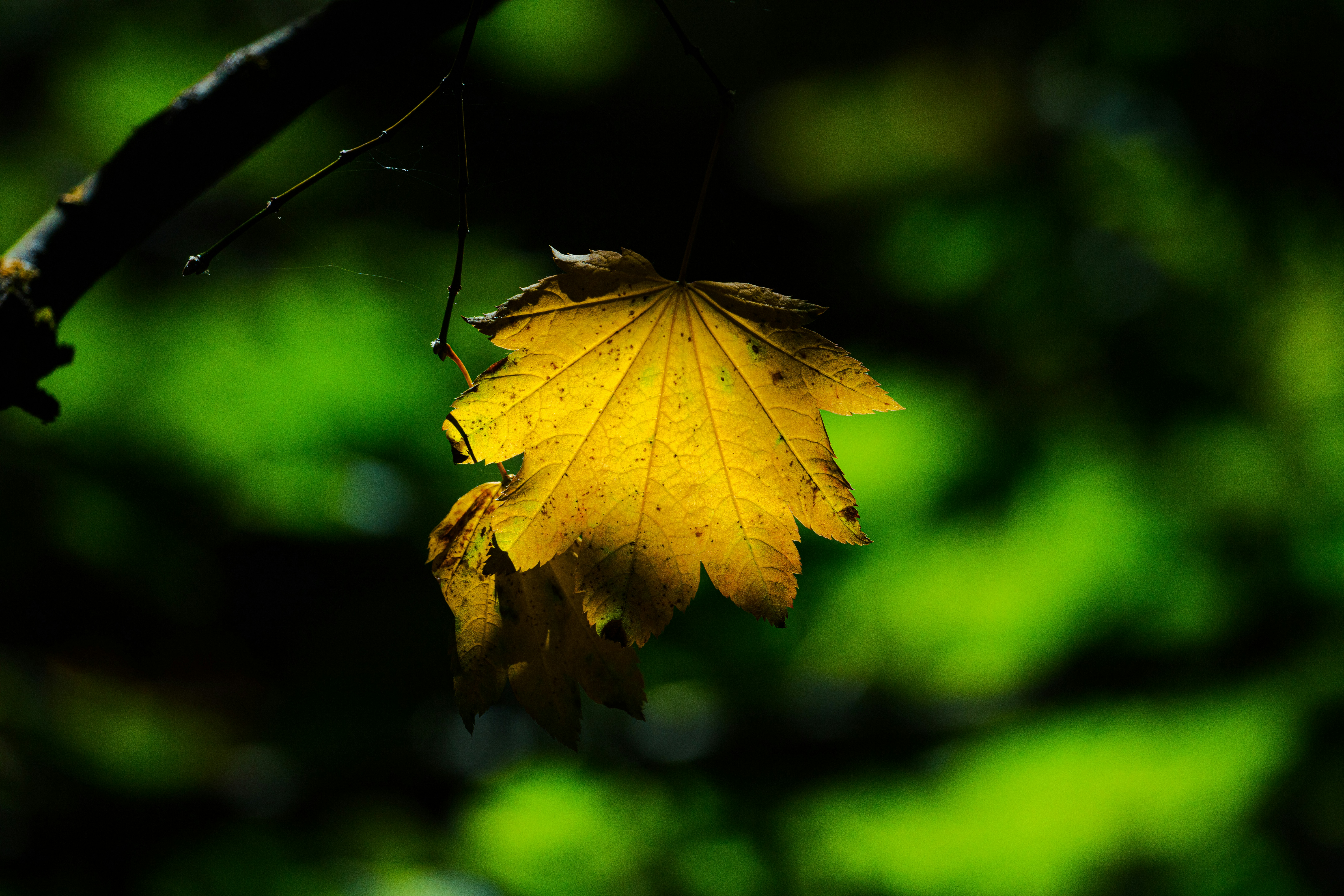 Photo by worldsbetweenlines