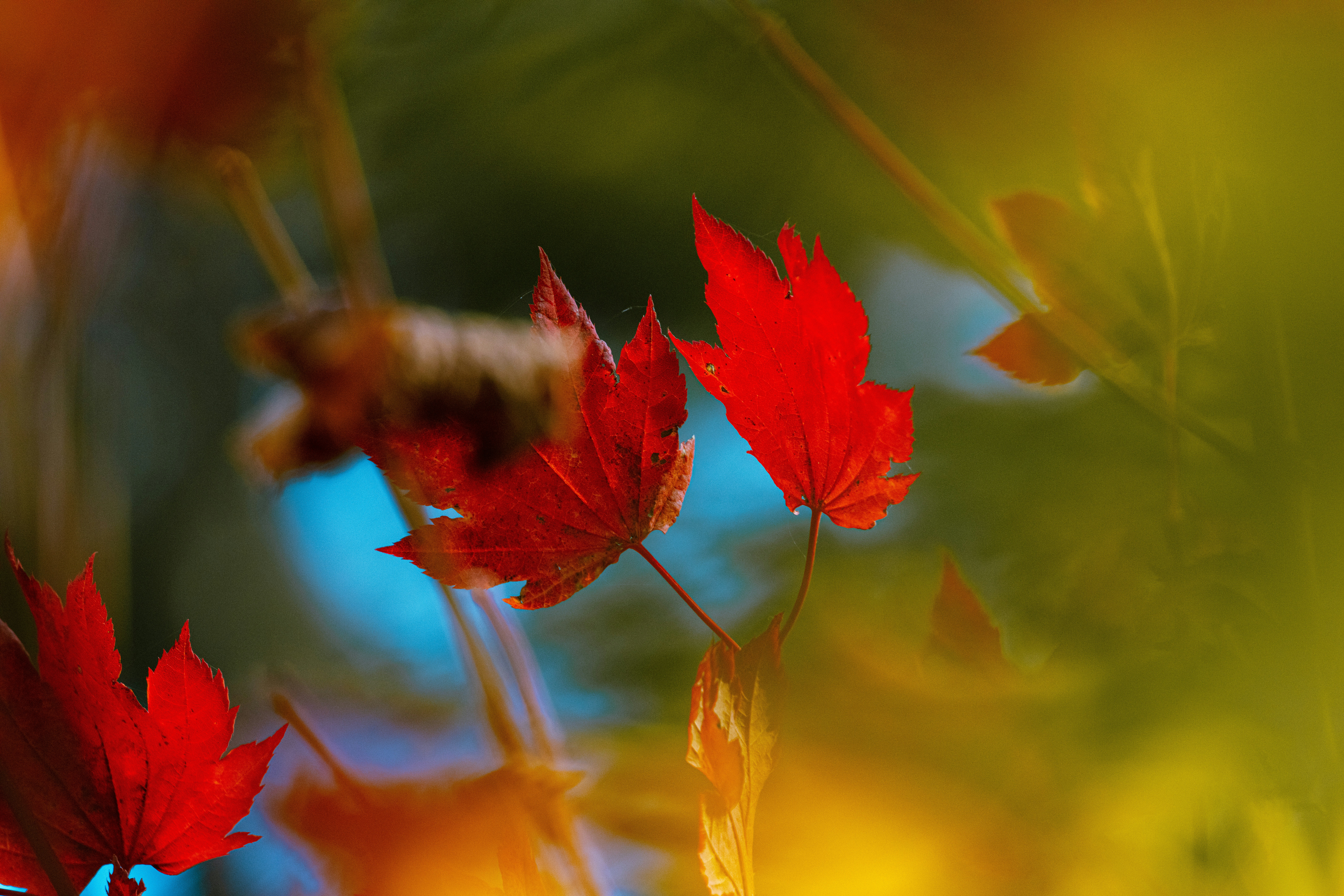 Photo by worldsbetweenlines