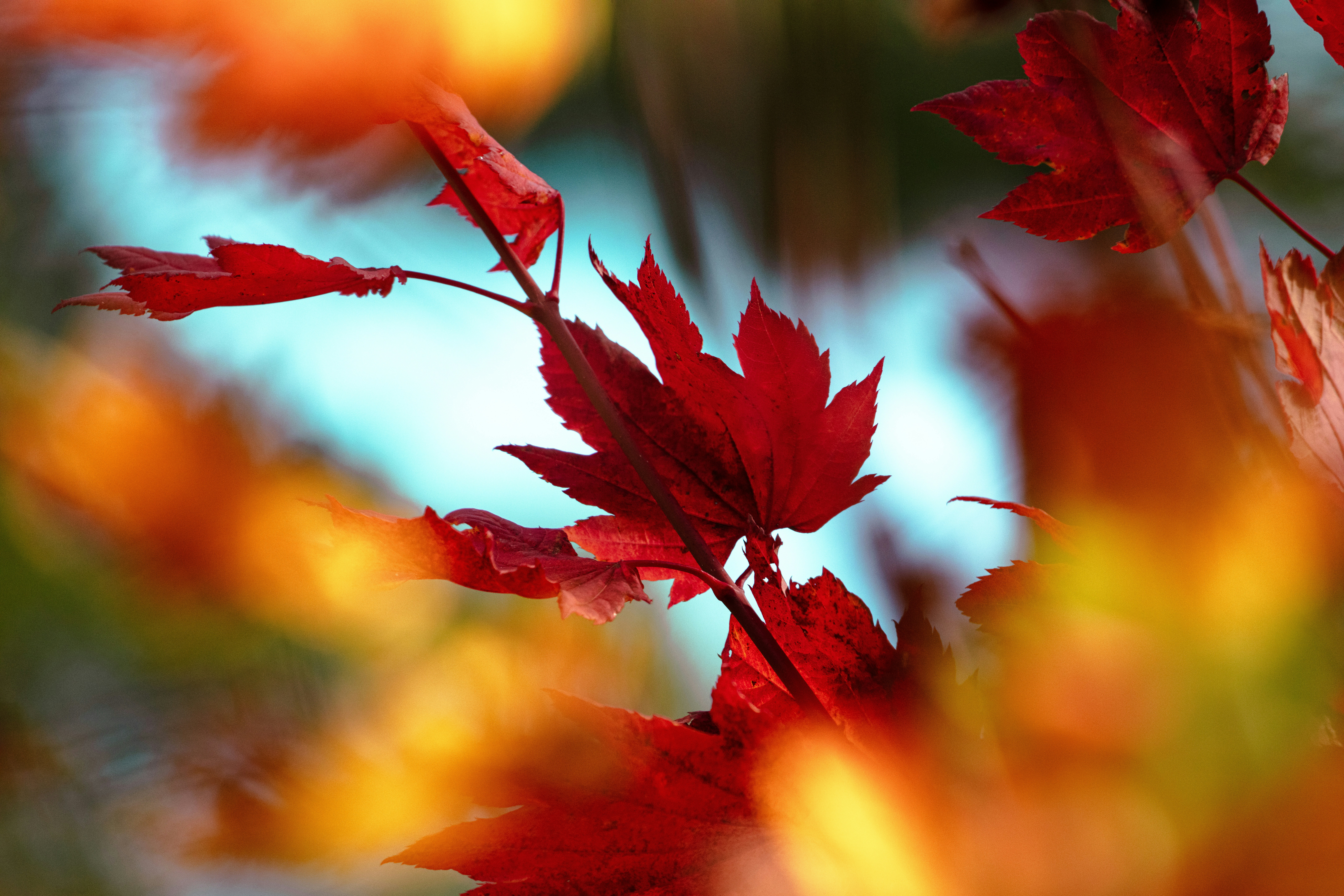 Photo by worldsbetweenlines