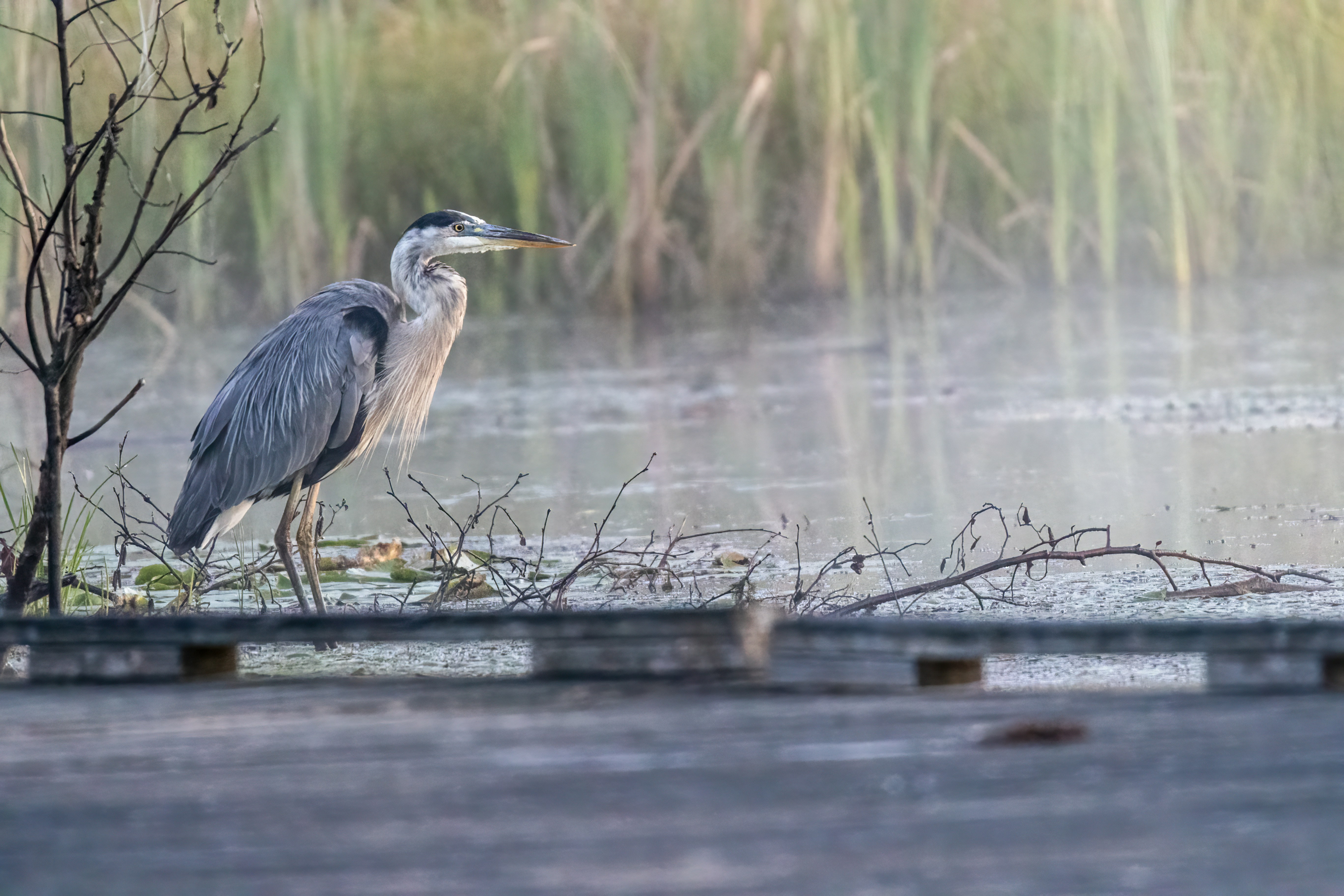 Photo by camerauthor