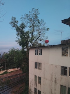 A tall residential building with worn white walls stands beside a railway track. A large tree with green leaves towers next to the building. A red satellite dish is mounted on the rooftop. The sky is clear with a light blue hue, and there is greenery in the surrounding area.