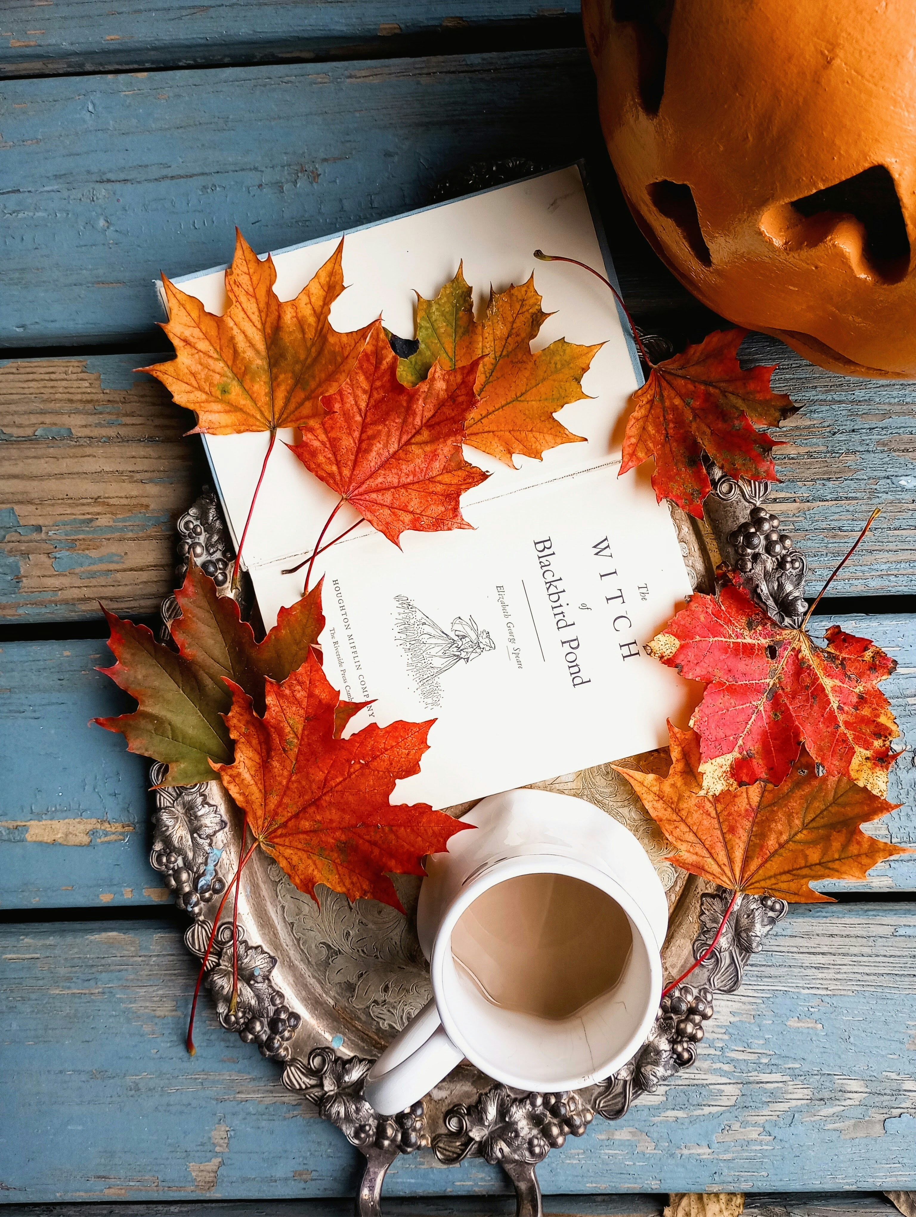 Photo by grimmie_and_ghostlie