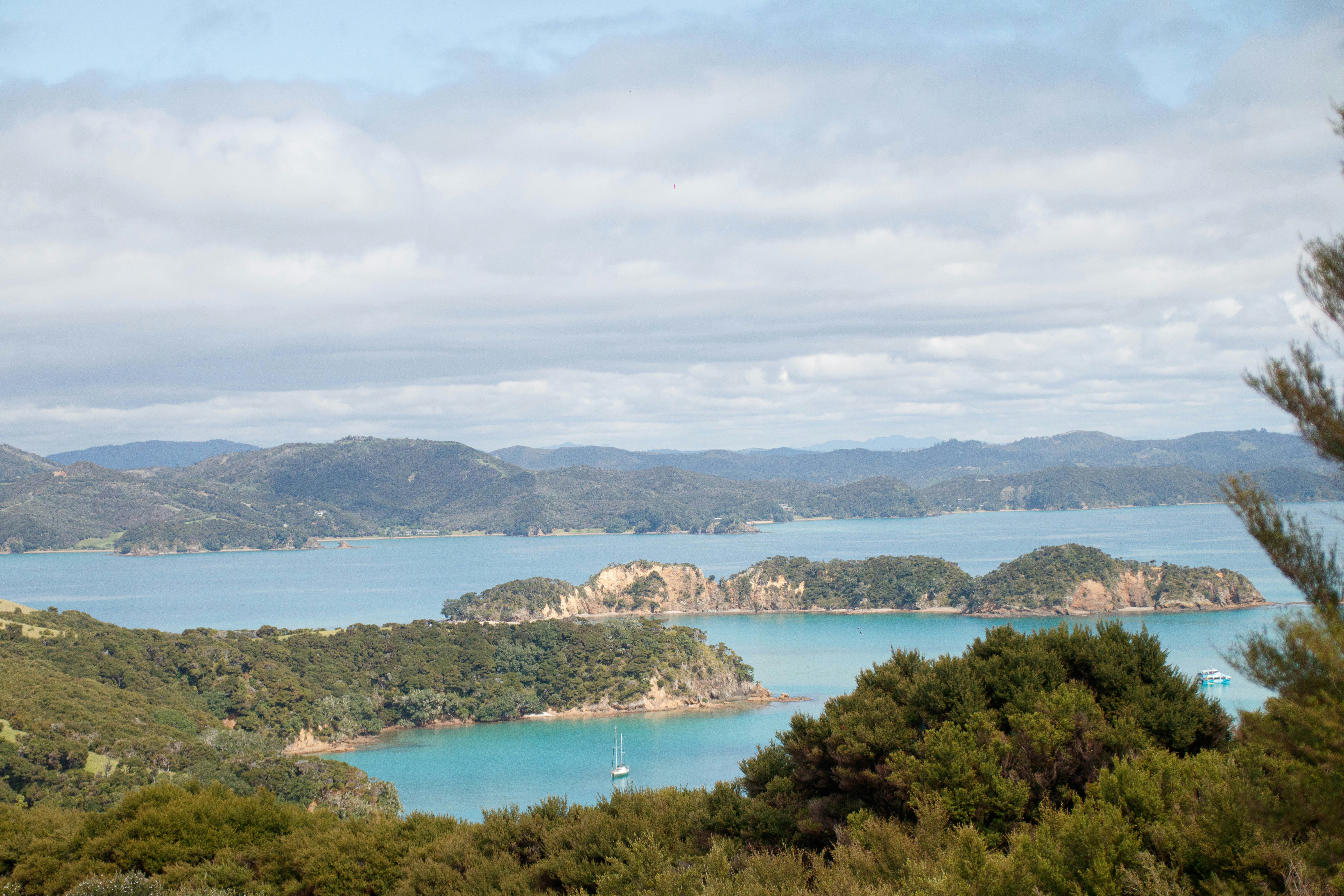 a scenic view of a lake surrounded by trees, 