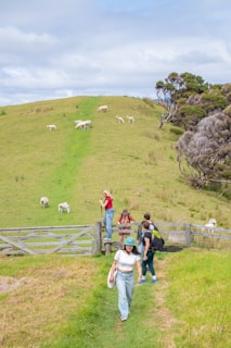 Several people are enjoying a leisurely walk in a grassy, hilly landscape. Some are climbing over a wooden gate while others are walking along a path. Sheep are grazing on the hill in the distance, and trees are visible to the right.
