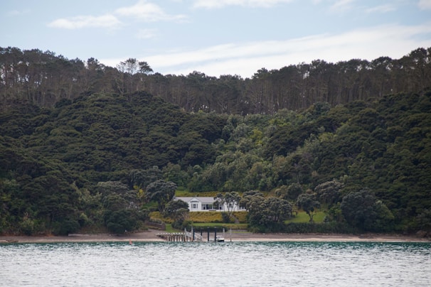 A serene landscape featuring a secluded white house nestled amidst dense green forests. The house is located near a tranquil shoreline with a wooden dock extending into calm waters, set against a backdrop of tall trees.