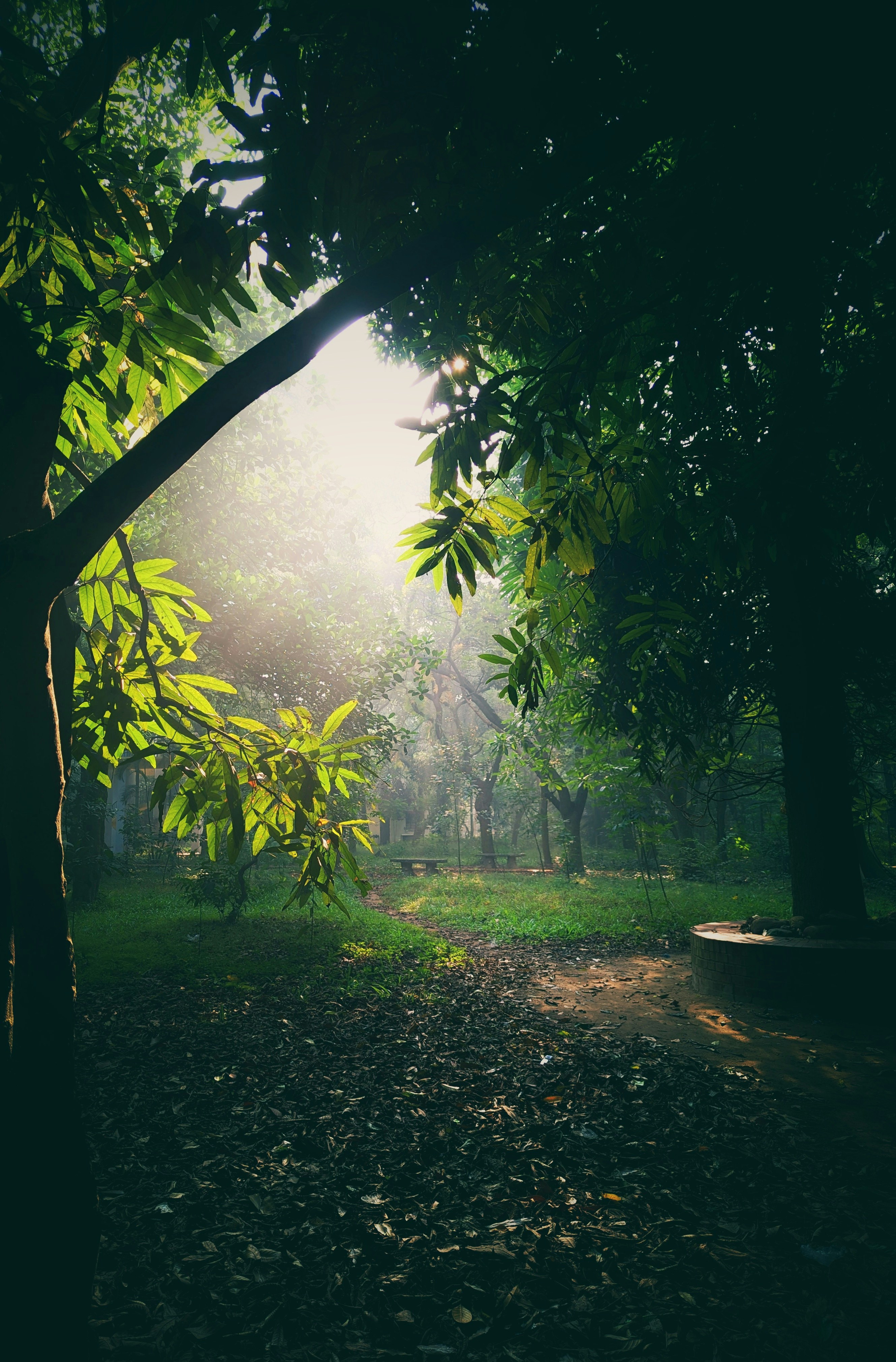 Photo by shakib2777