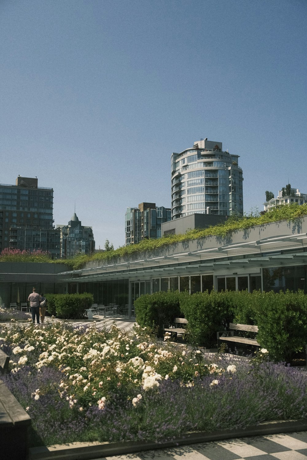 a person walking in a flower garden in front of a building