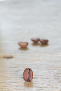 Close-up of coffee beans resting on a beige pastel cloth with delicate flowers softly blurred in the background.