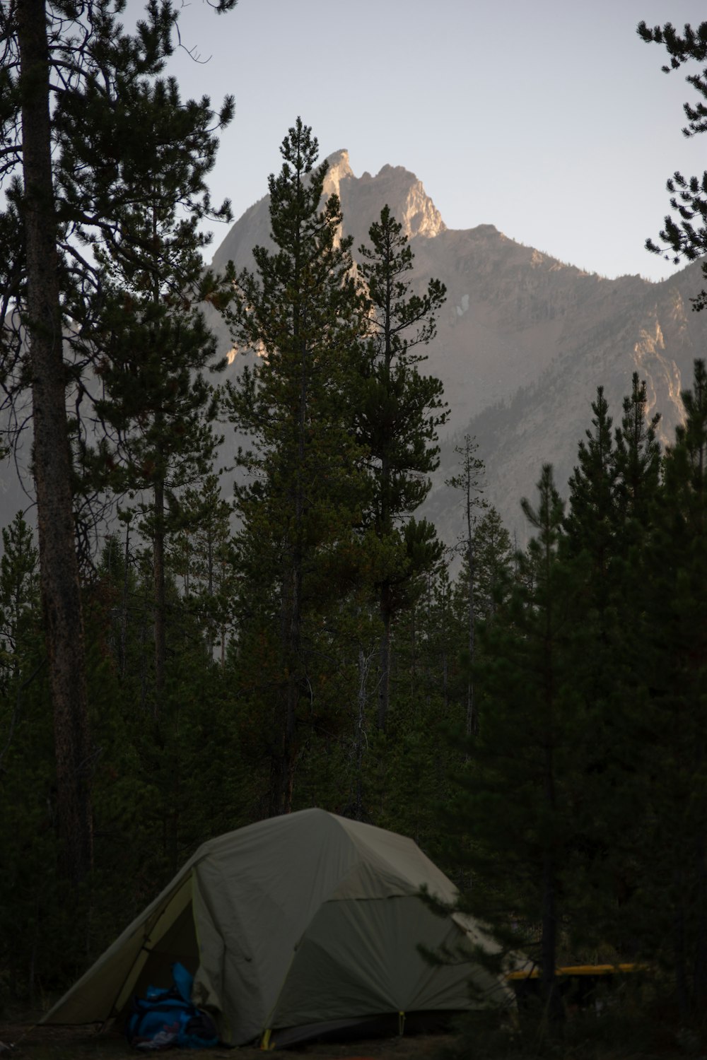 a tent in the woods with a mountain in the background