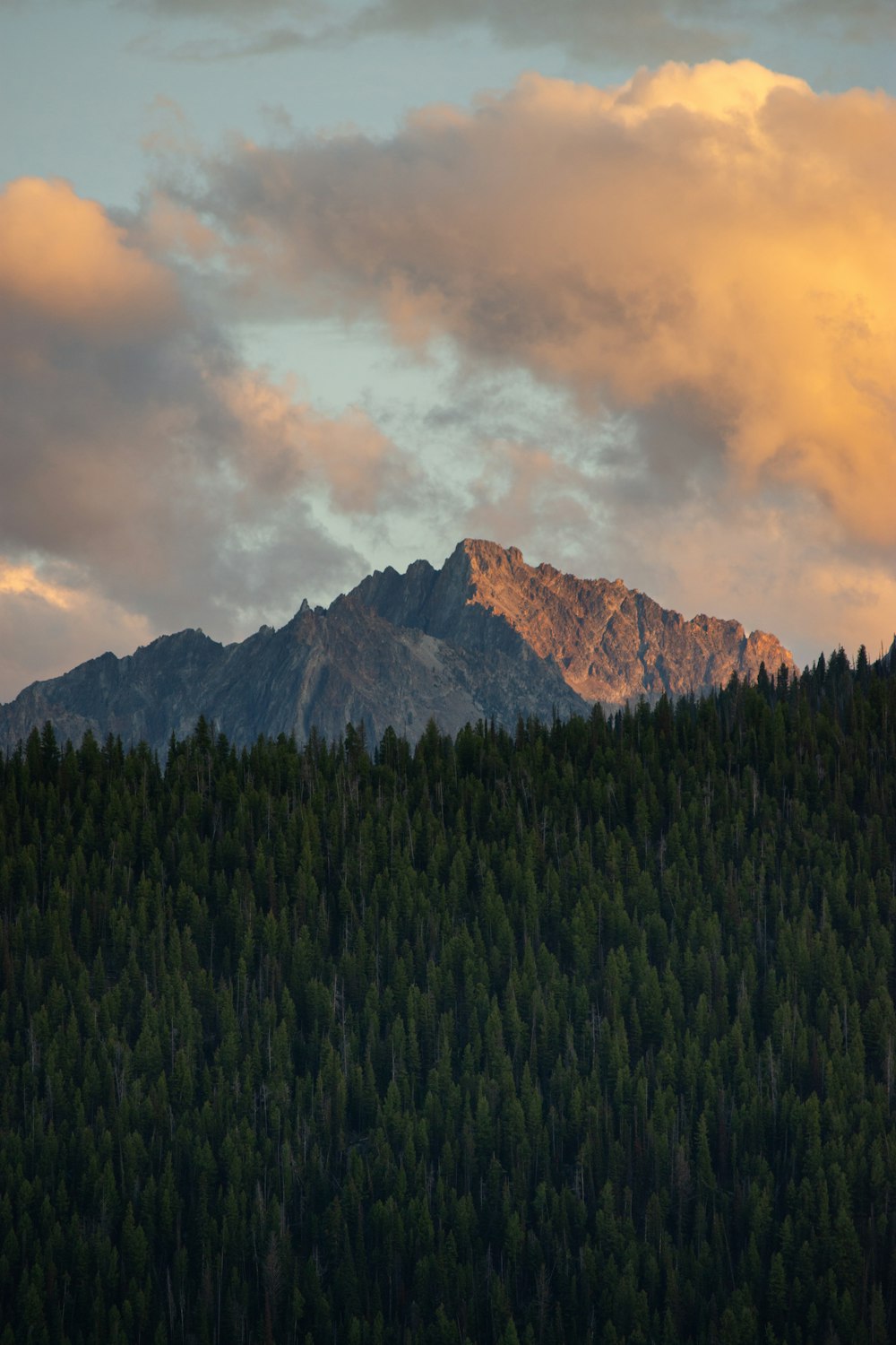 a mountain with a forest below it under a cloudy sky