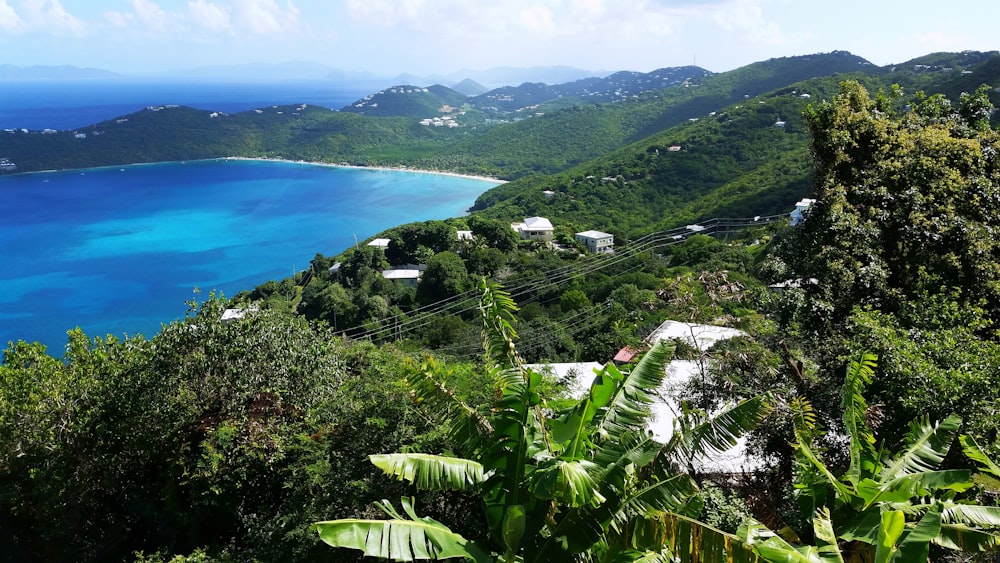 a scenic view of a tropical island with blue water