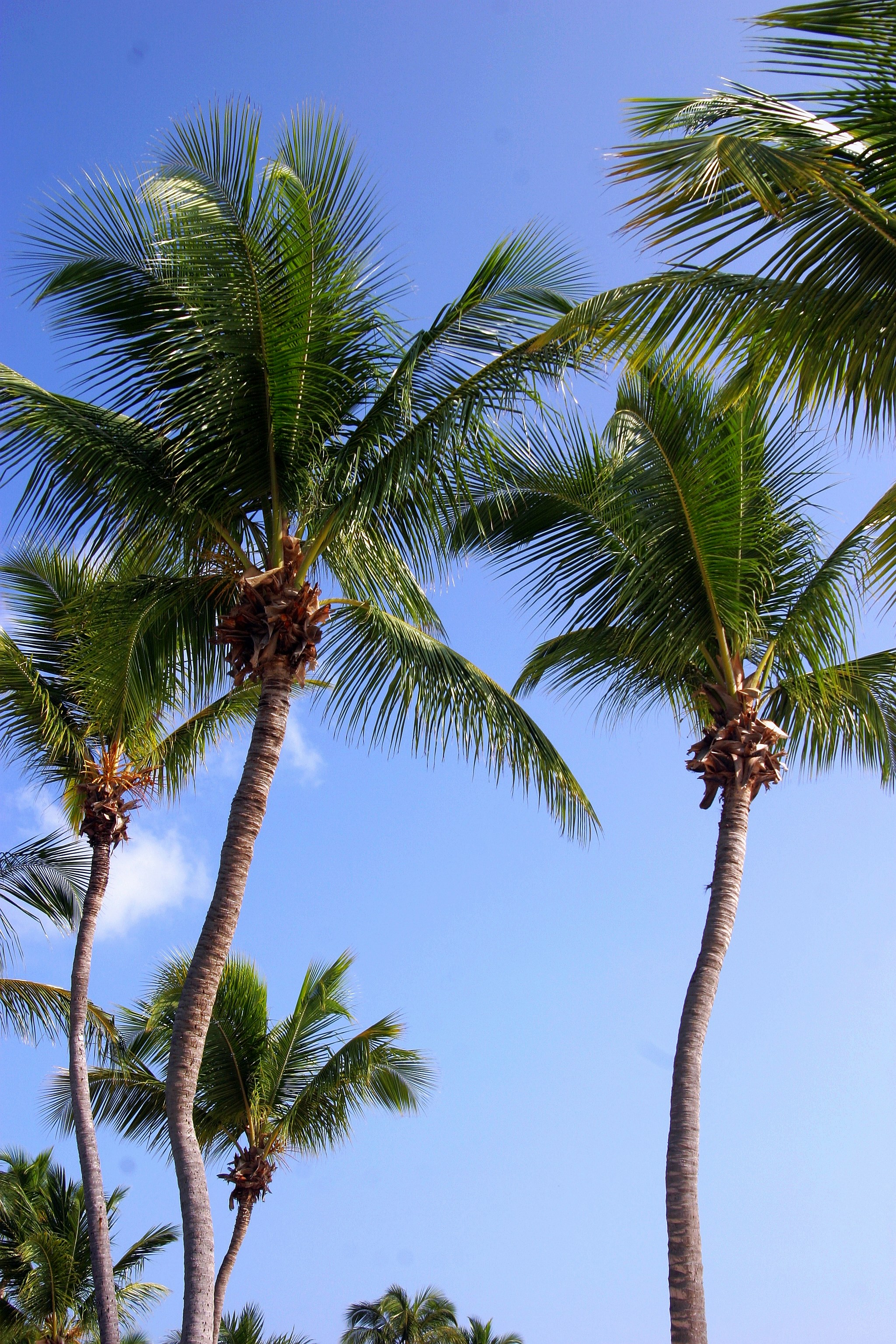 Photo by climatechangevi