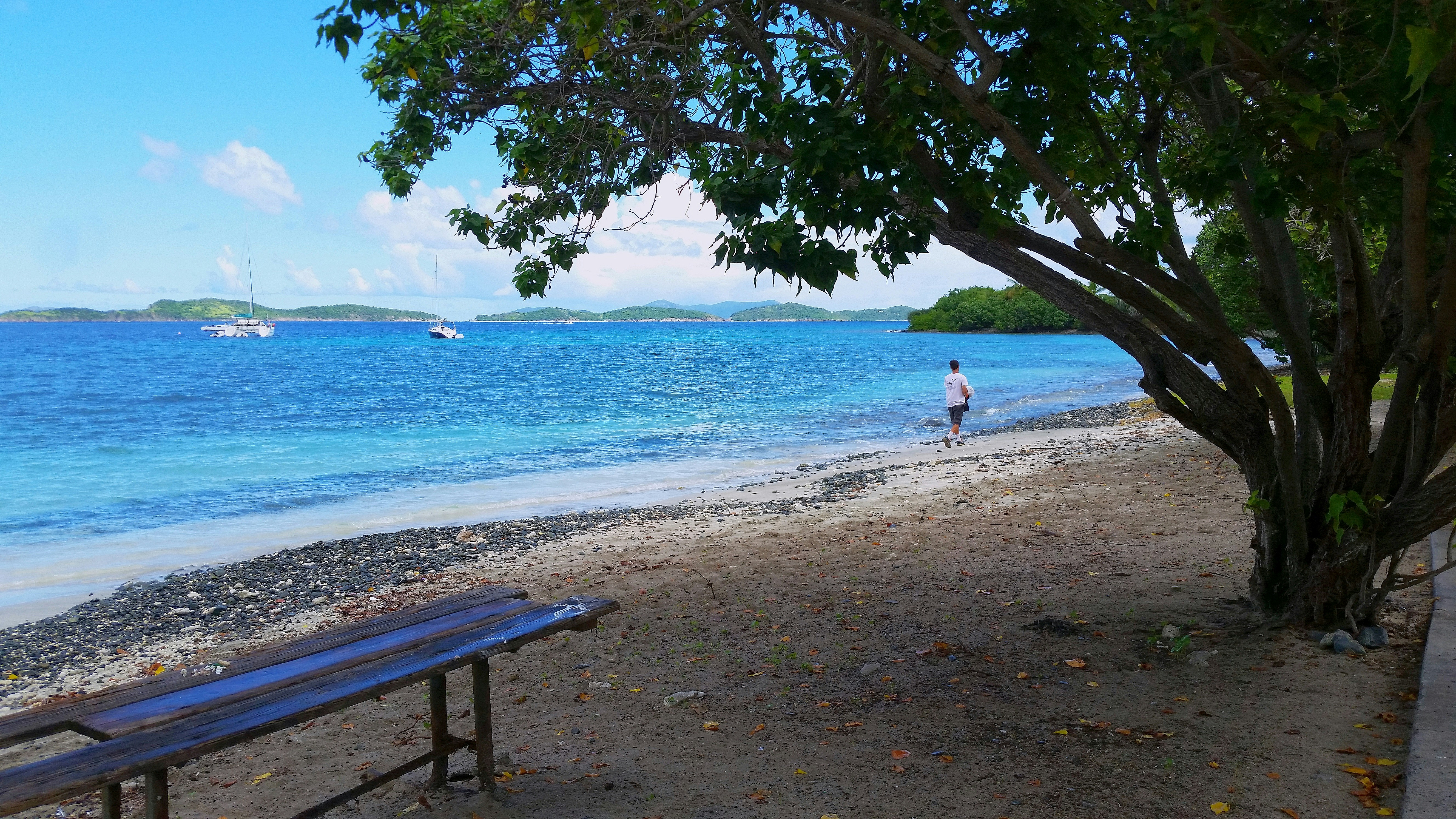 a man walking on a beach next to a tree