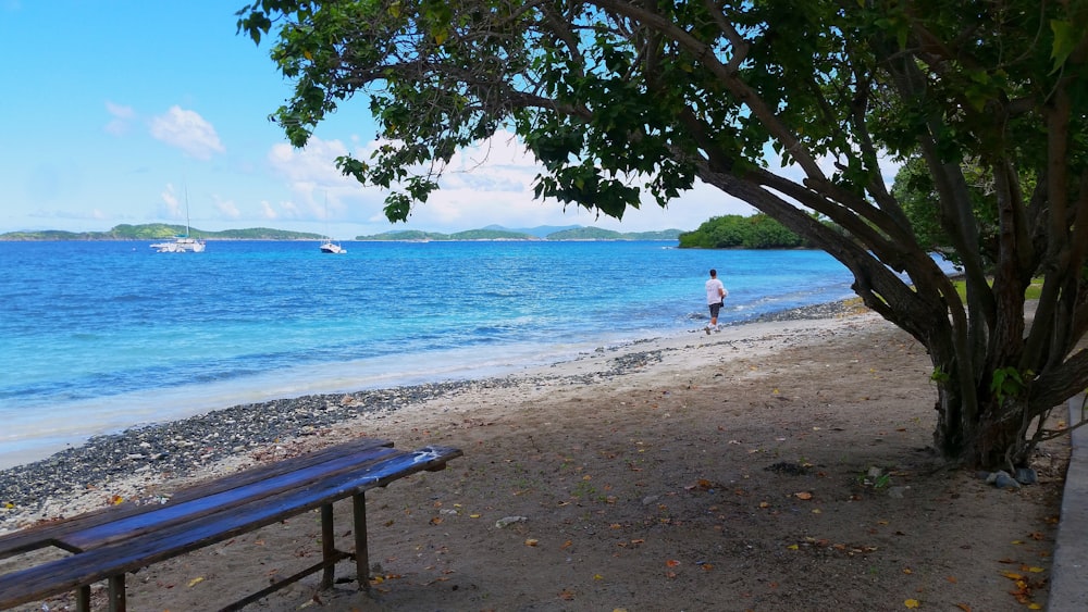 a man walking on a beach next to a tree