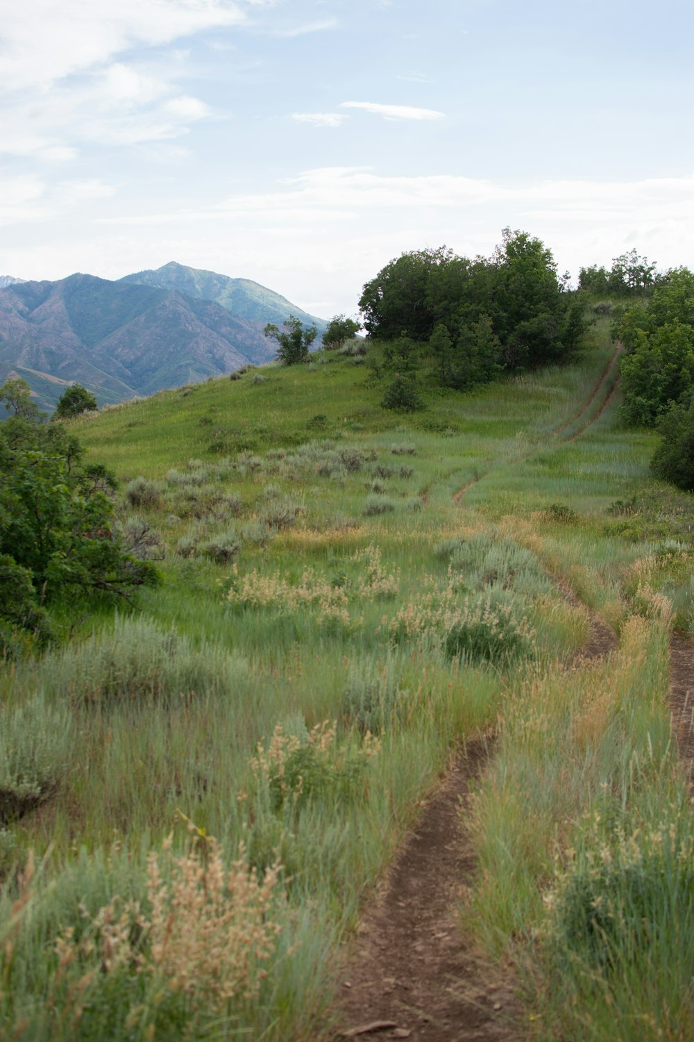 a dirt path going up a grassy hill