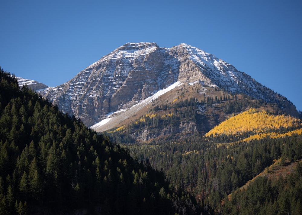 a mountain with a snow covered peak in the background