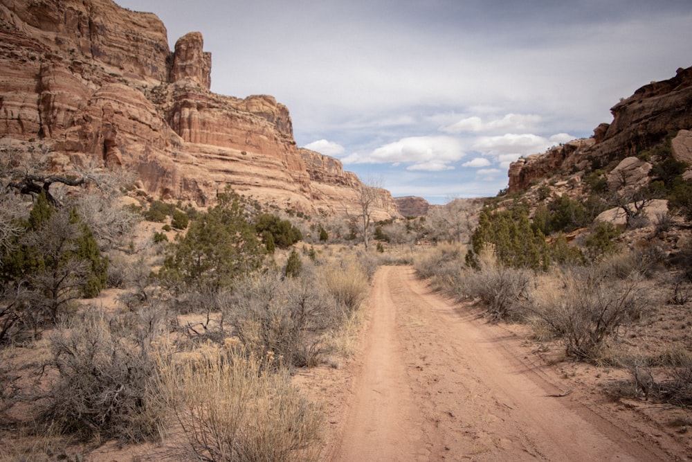 a dirt road in the middle of a desert