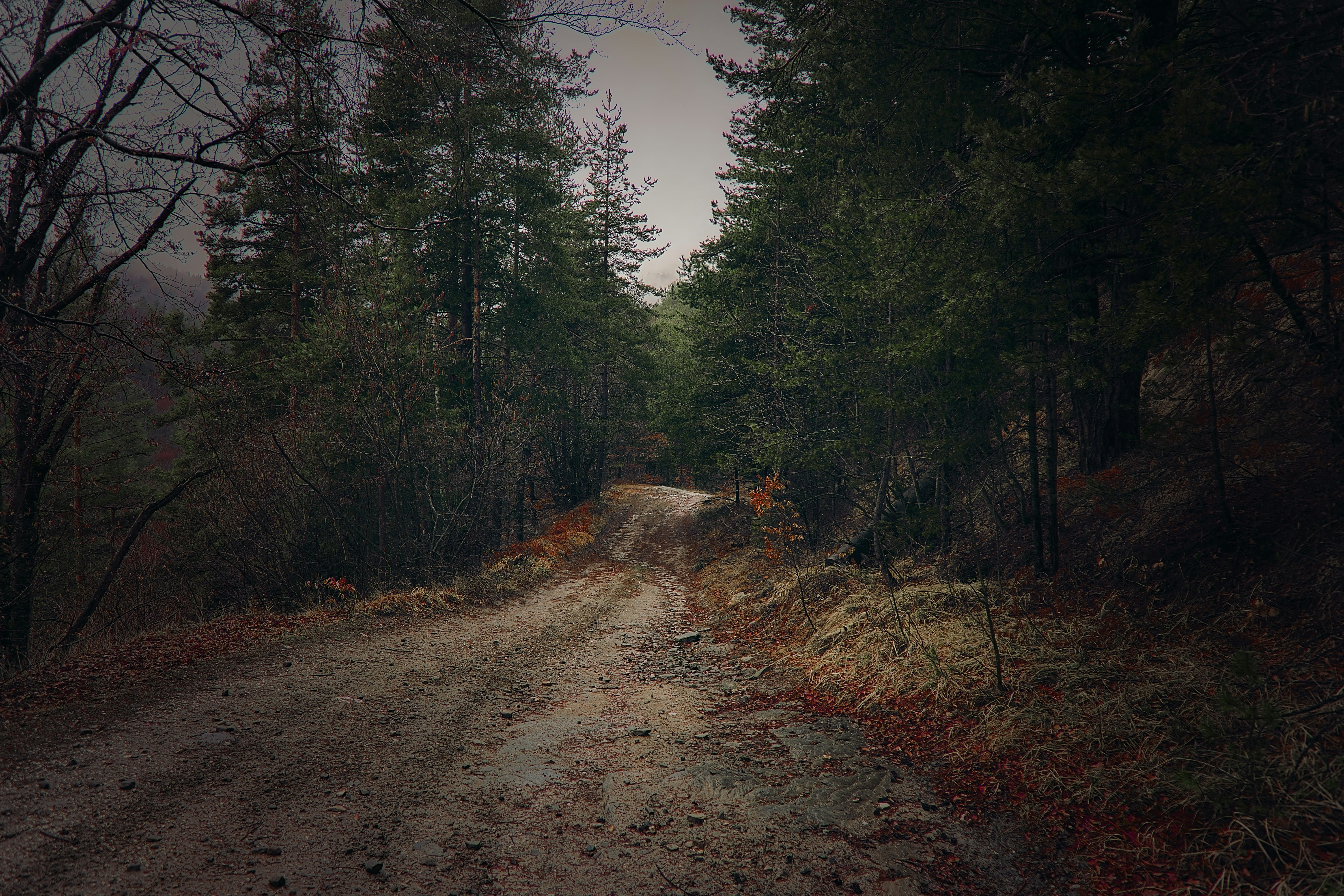 Photo by blooddrainer