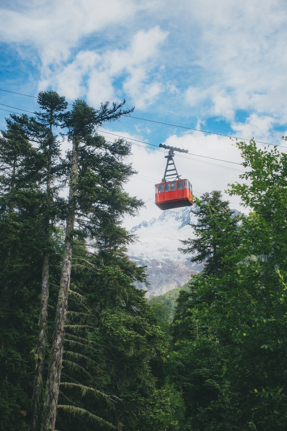 a ski lift going over a forest filled with trees