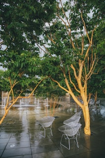 A serene outdoor meeting space where ideas flow freely.