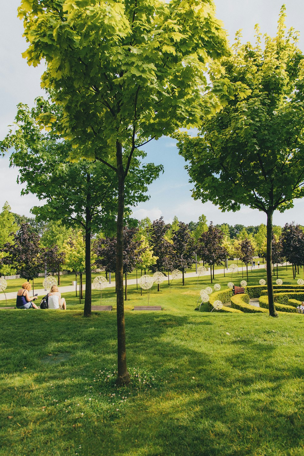 a couple of people sitting on top of a lush green field