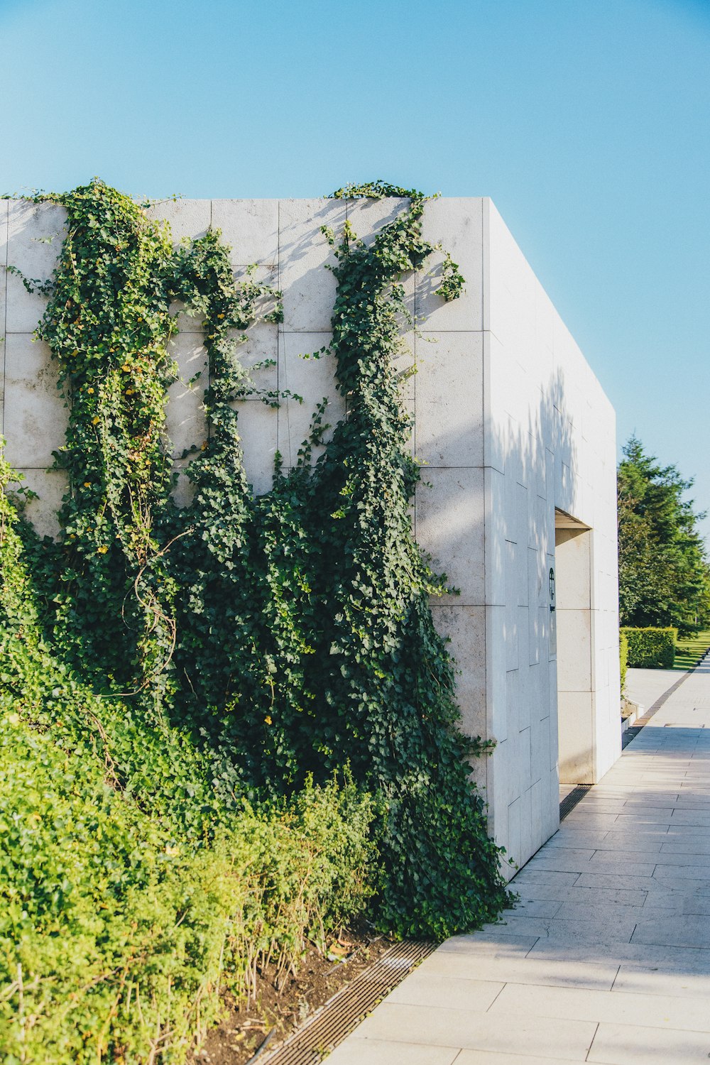 a building covered in vines next to a sidewalk