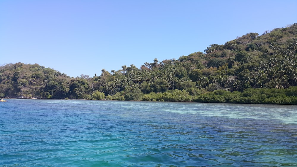 a body of water with trees in the background